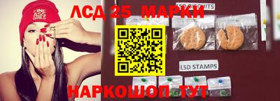 шишки Берёзовский