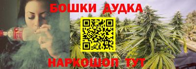 шишки Берёзовский