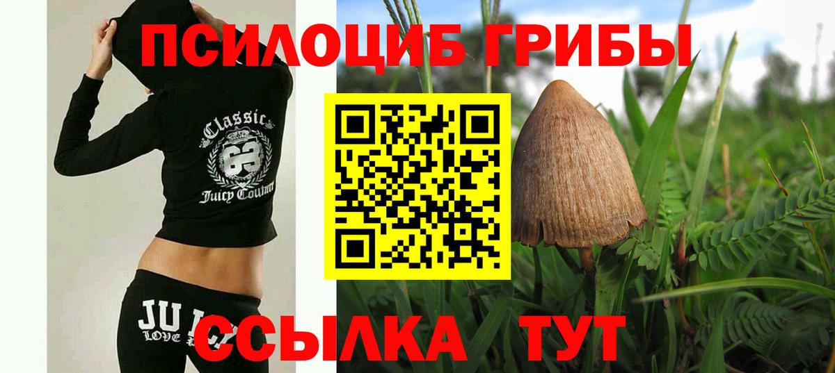 Заводоуковск  Галлюциногенные грибы мухоморы  Вход с VPN 